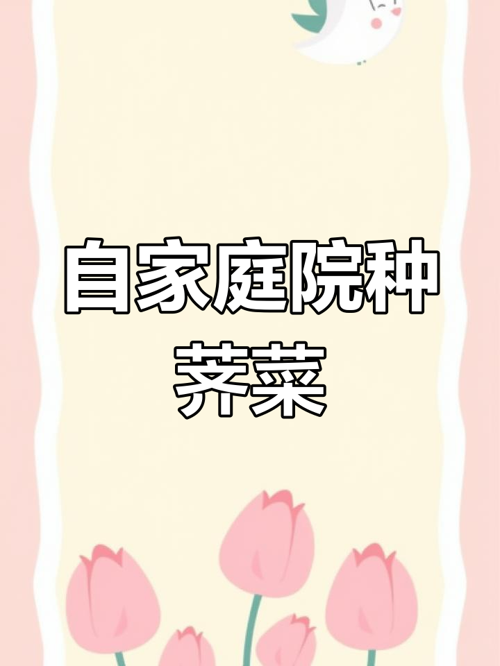 在家种大叶荠菜,鲜嫩美味吃不完
