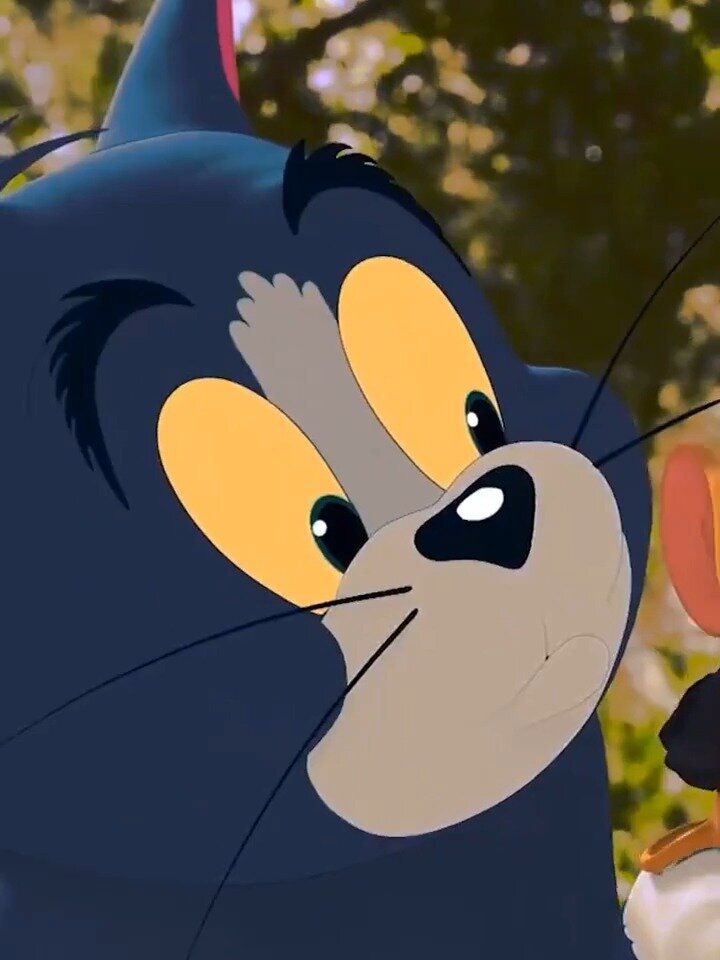 猫和老鼠动态壁纸/微信状态背景分享