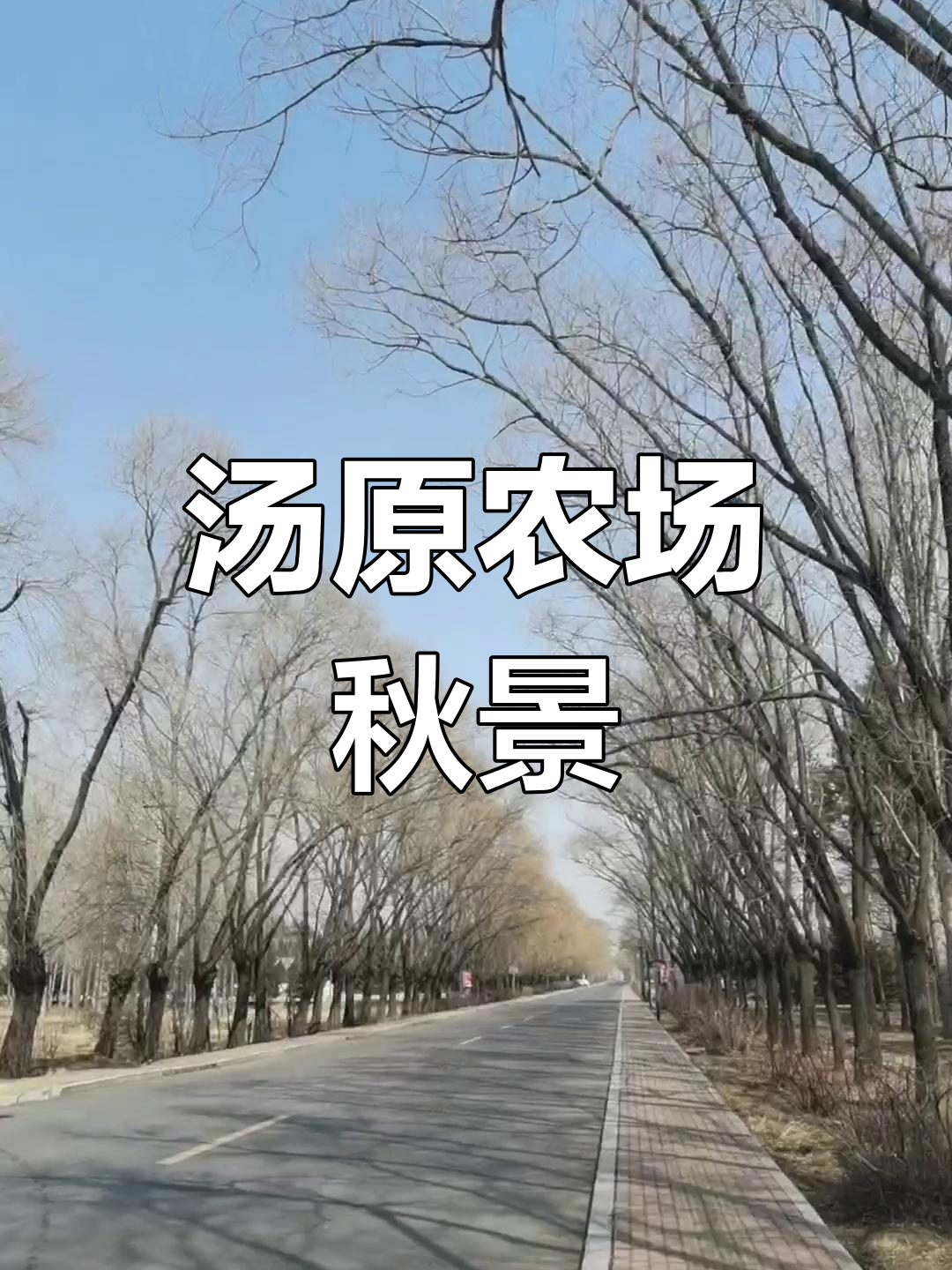 公交车上遇见秋日美景,汤原农场一日游