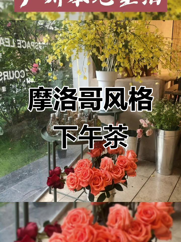 广州摩洛哥风情下午茶,绿植环绕的艺术空间