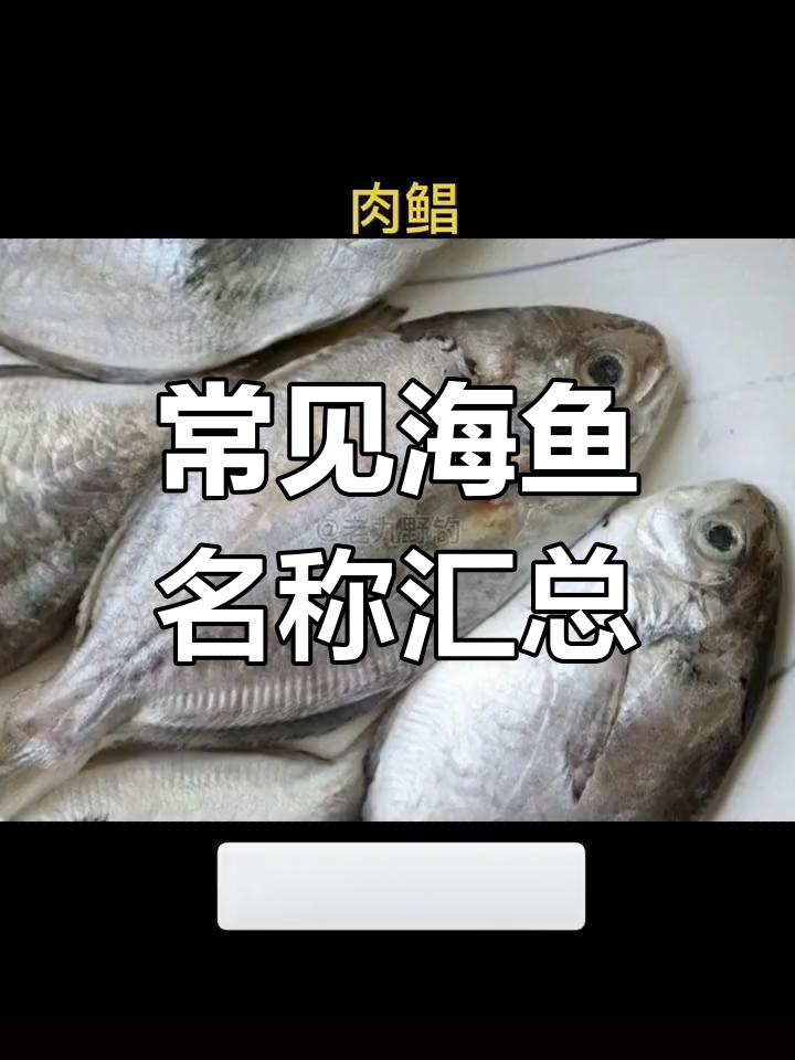 海鱼种类大揭秘,轻松学会认名字