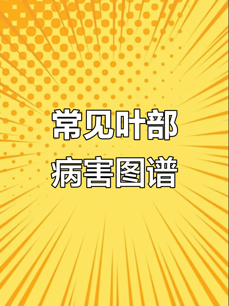 叶片病害全解析:软腐病、炭疽病等识别与防治技巧