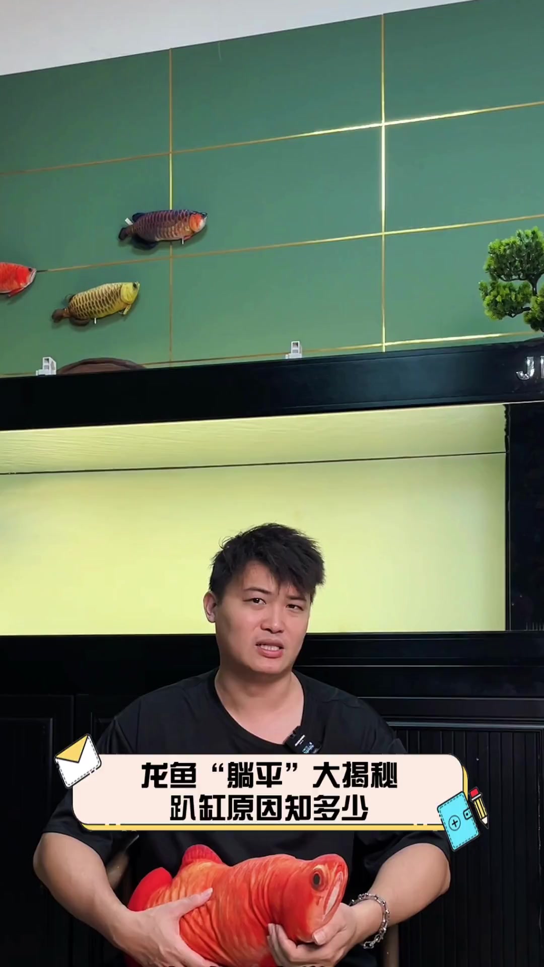 龙鱼“躺平”大揭秘,趴缸原因知多少