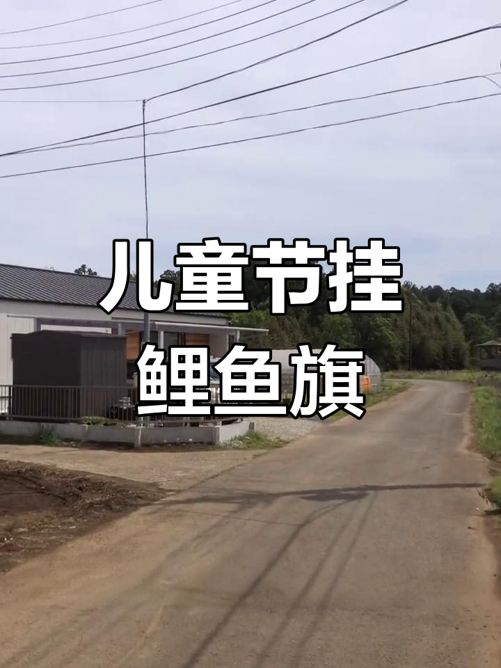 日本儿童节,家家户户挂鲤鱼旗庆祝