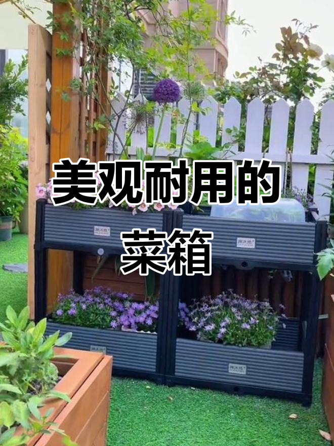 这款菜箱既美观又耐用，阳台种菜必备！