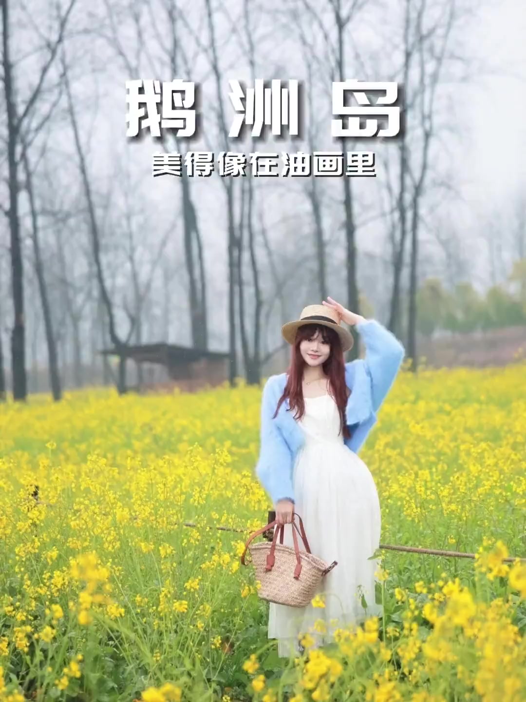 拍到长沙最早的油菜花啦!美得像在油画里丨鹅洲岛