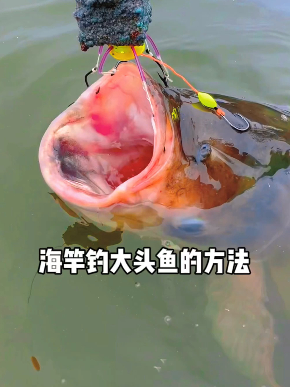 海竿钓大头鱼的方法