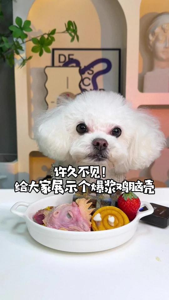 给大家展示个爆浆鸡脑壳
