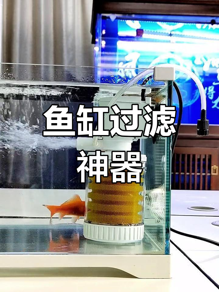 内置过滤器,小鱼缸更清澈,氧气充足,六合一效果超群