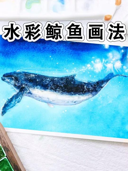 零基础学水彩|一分钟教会你画一只鲸鱼