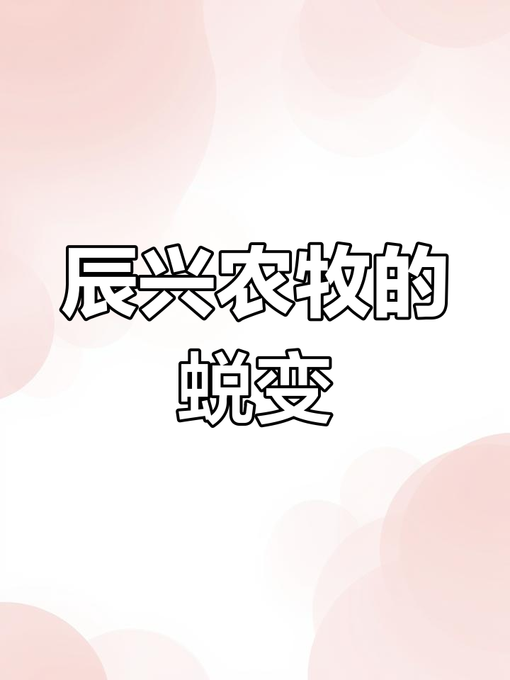 辰兴农牧:从落后设备到现代化养殖,见证肉鸡产业飞速发展