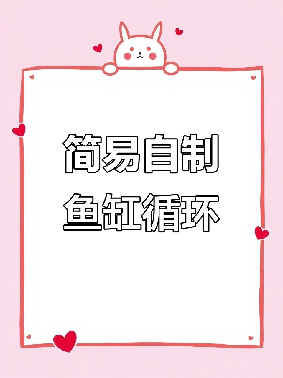 自制鱼缸循环水,简单又高效的方法