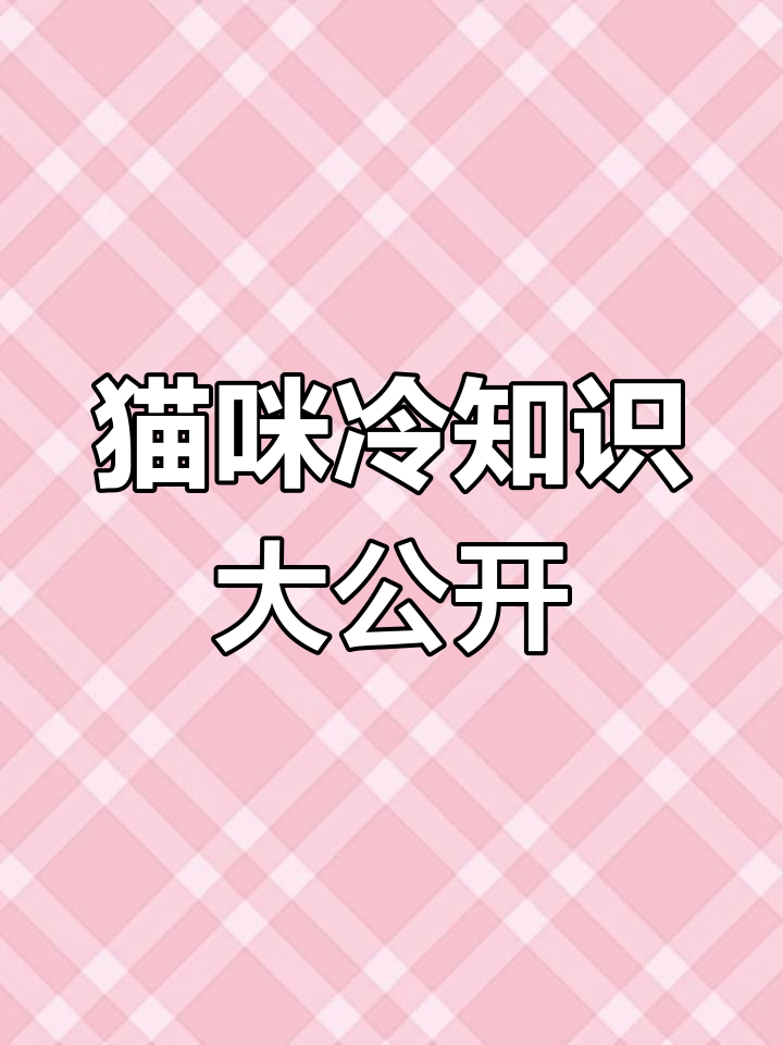 猫咪身体结构揭秘:眼睛、耳朵和鼻子的超能力