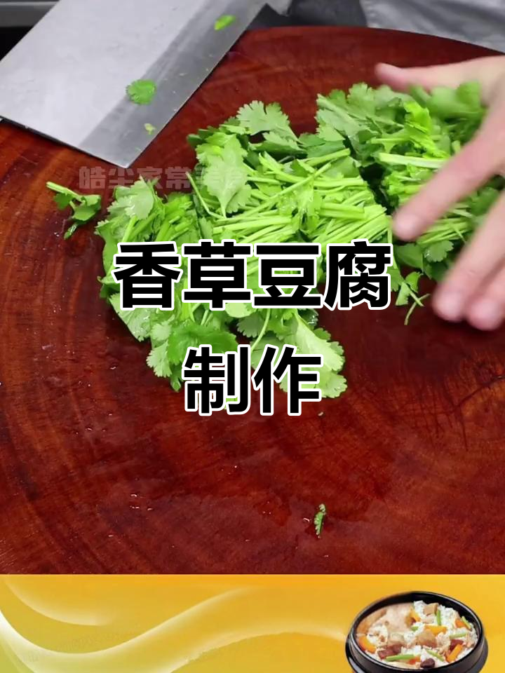 香菜豆腐做法大揭秘,简单又美味!