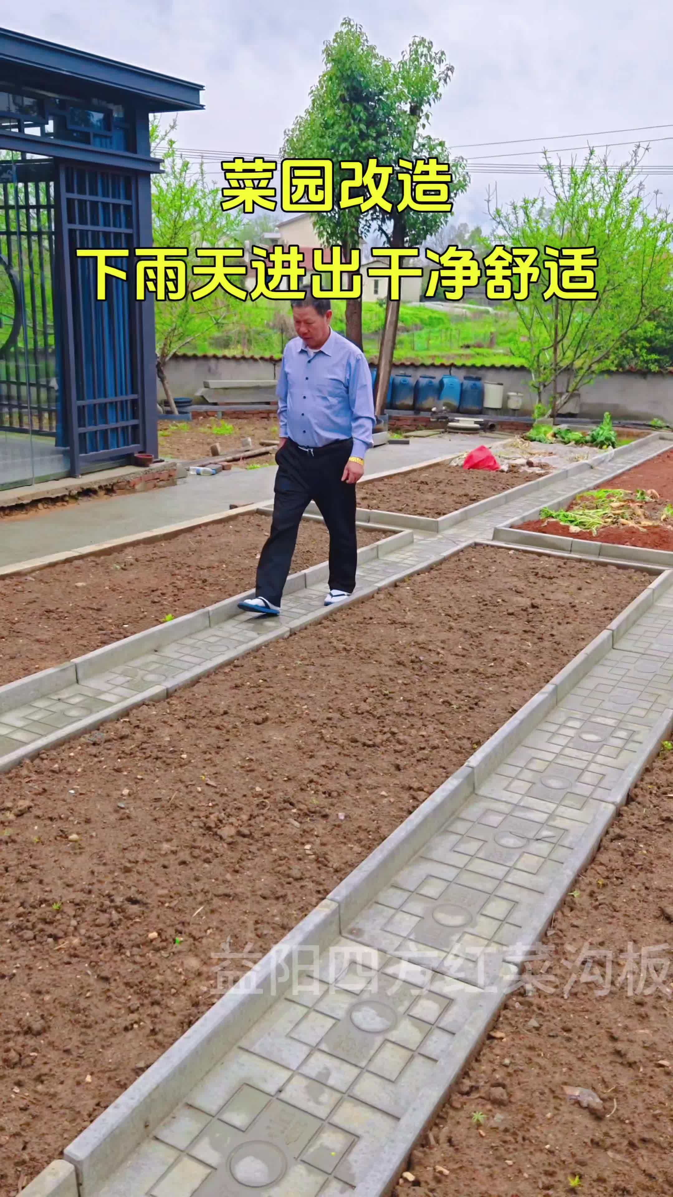 菜沟板 菜园 我的田园生活 在家种菜 院子改造