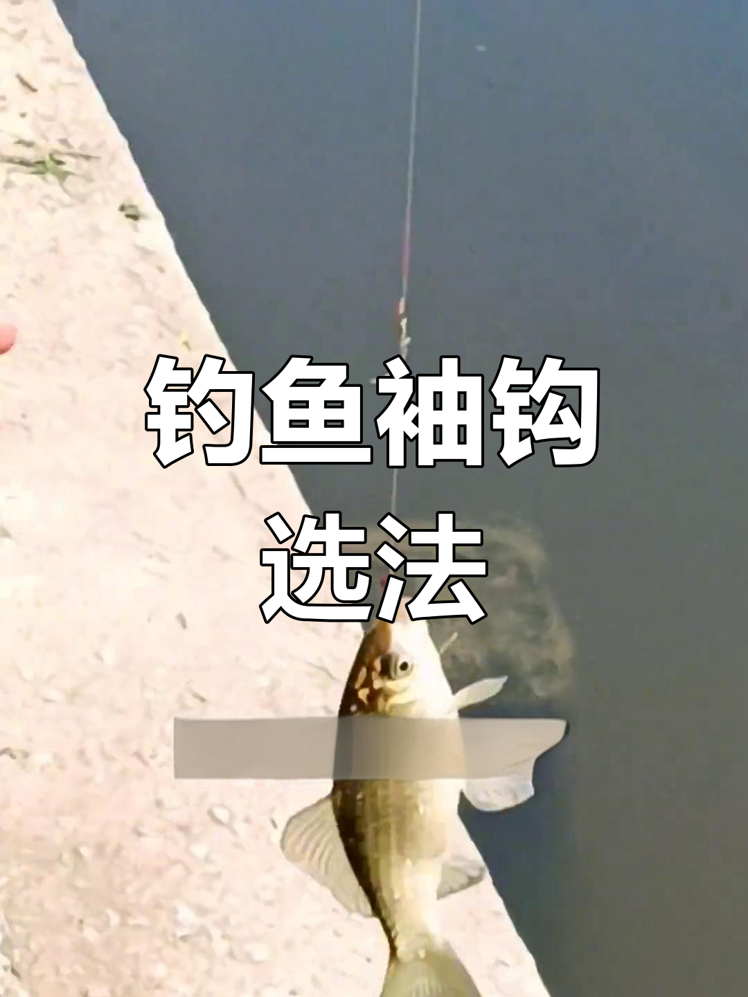钓鱼袖钩选择技巧,轻松掌握大小规律