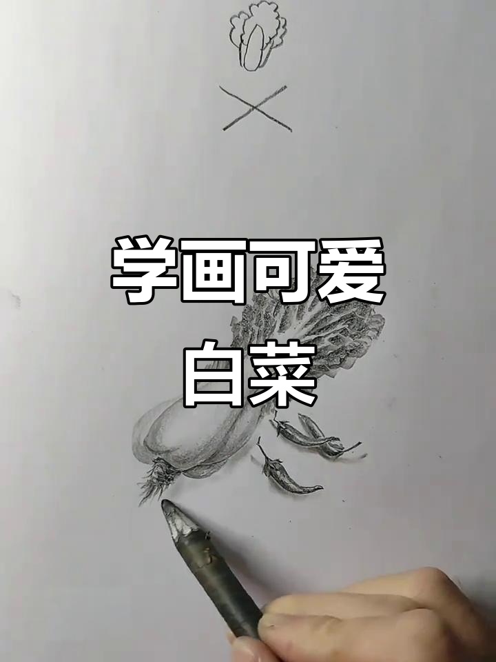 轻松画出白菜，简单又好看！
