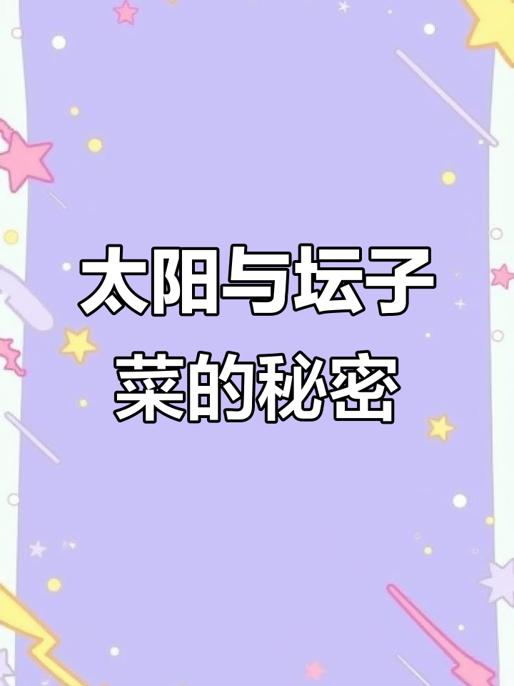 坛子菜的关键在于阳光,晒干才有了独特的味道