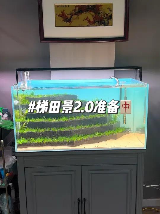 梯田景2.0版本准备中 梯田造景2.0版本准备中 鱼缸里的大自然 观赏鱼 养鱼养心 鱼缸造