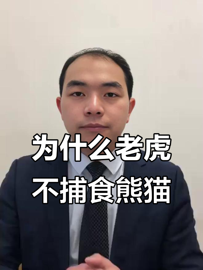 四川老虎为何不吃熊猫?护林员揭秘原因