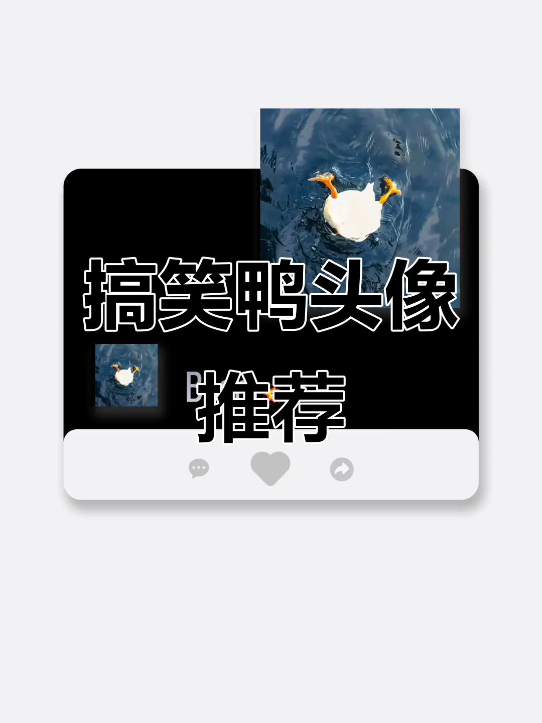 用什么鸭头像最搞怪?最后一个是创作灵感!