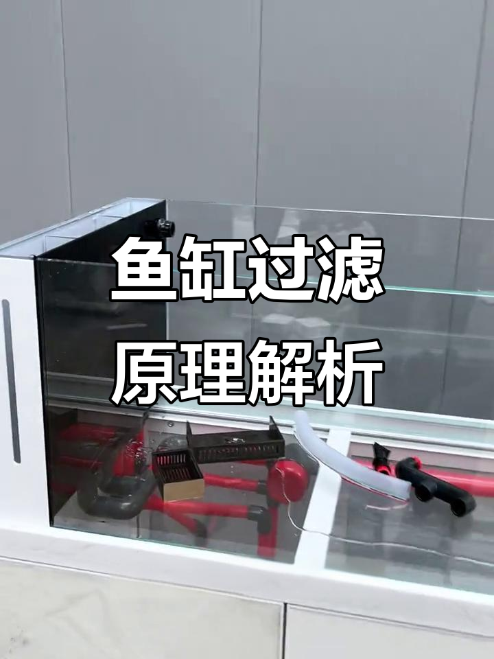 鱼缸过滤原理揭秘:如何打造空气缸效果