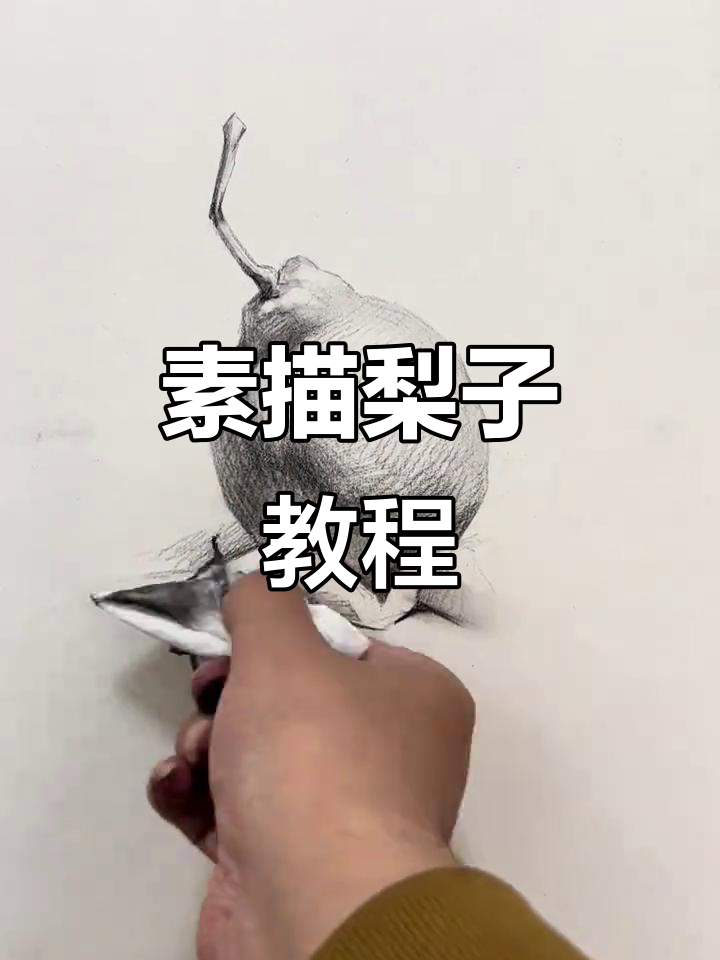 一起动手，画个梨吧！素描练习开始啦