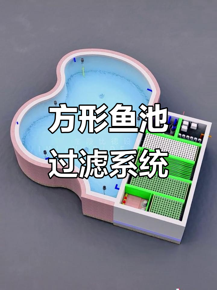 近百吨鱼池改造,方形仓体设计全解析