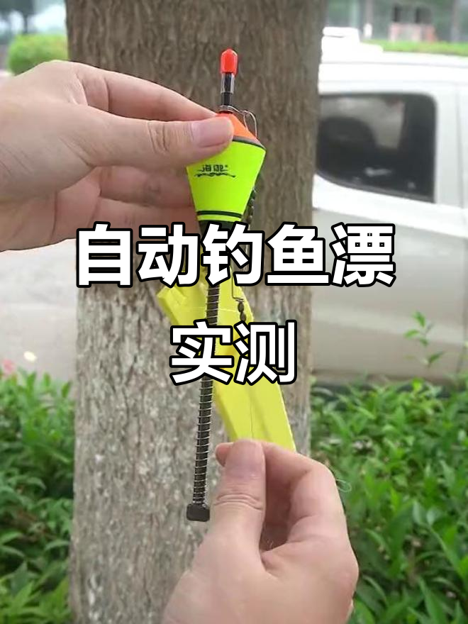 一物两用,自动钓鱼漂灵敏捕捉鱼钩