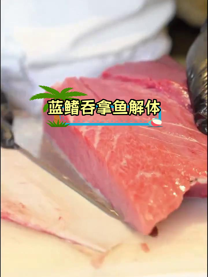 蓝鳍吞拿鱼解体秀,惊艳味觉体验