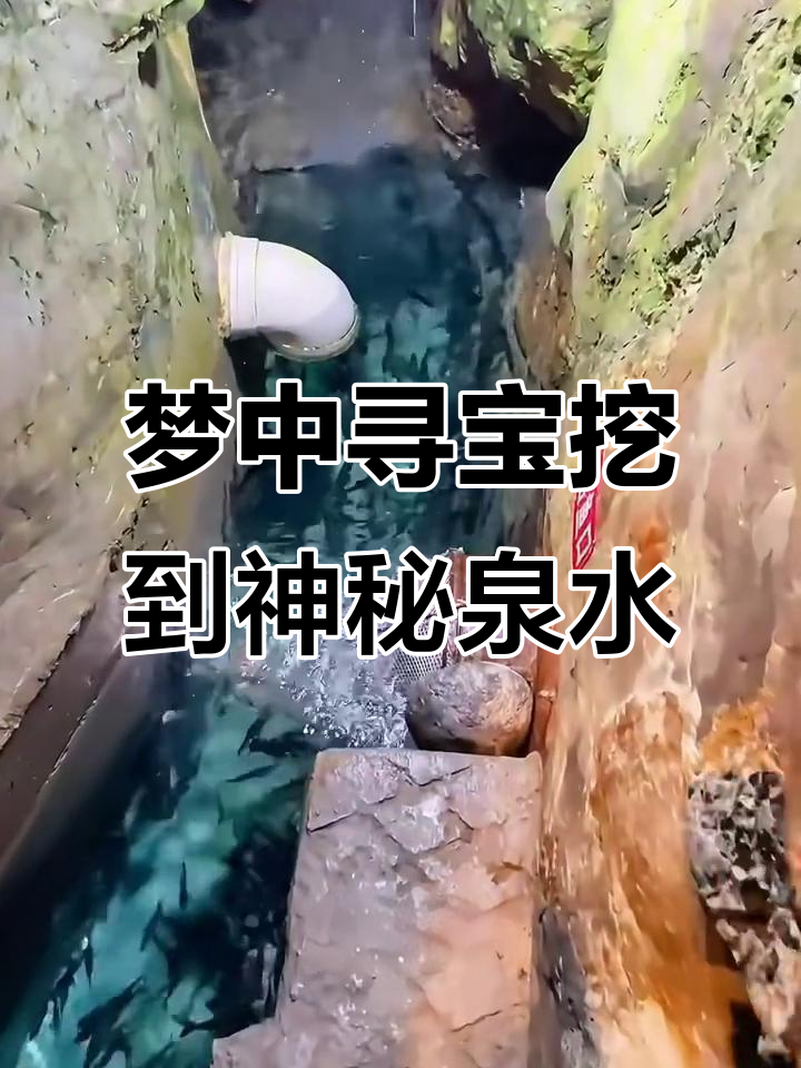 重庆神奇鱼泉因梦发现，地下暗河涌出美味小鱼