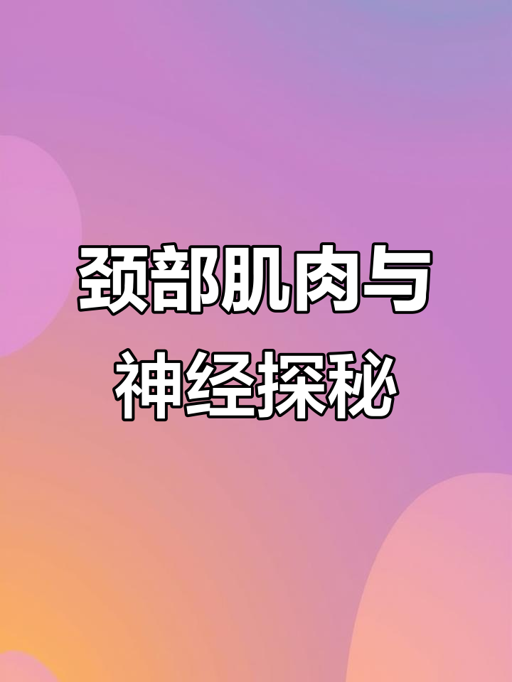 颈部解剖大揭秘:胸锁乳突肌与颈丛神经的深度解析