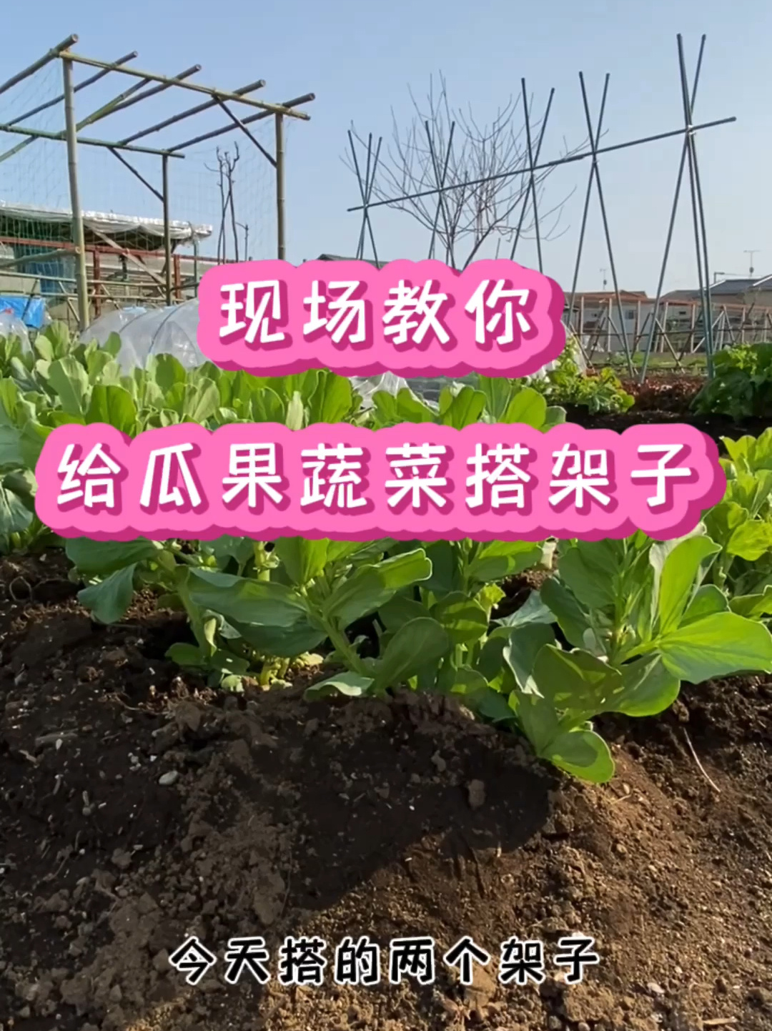 简单几步给瓜果蔬菜搭架子,附设计图
