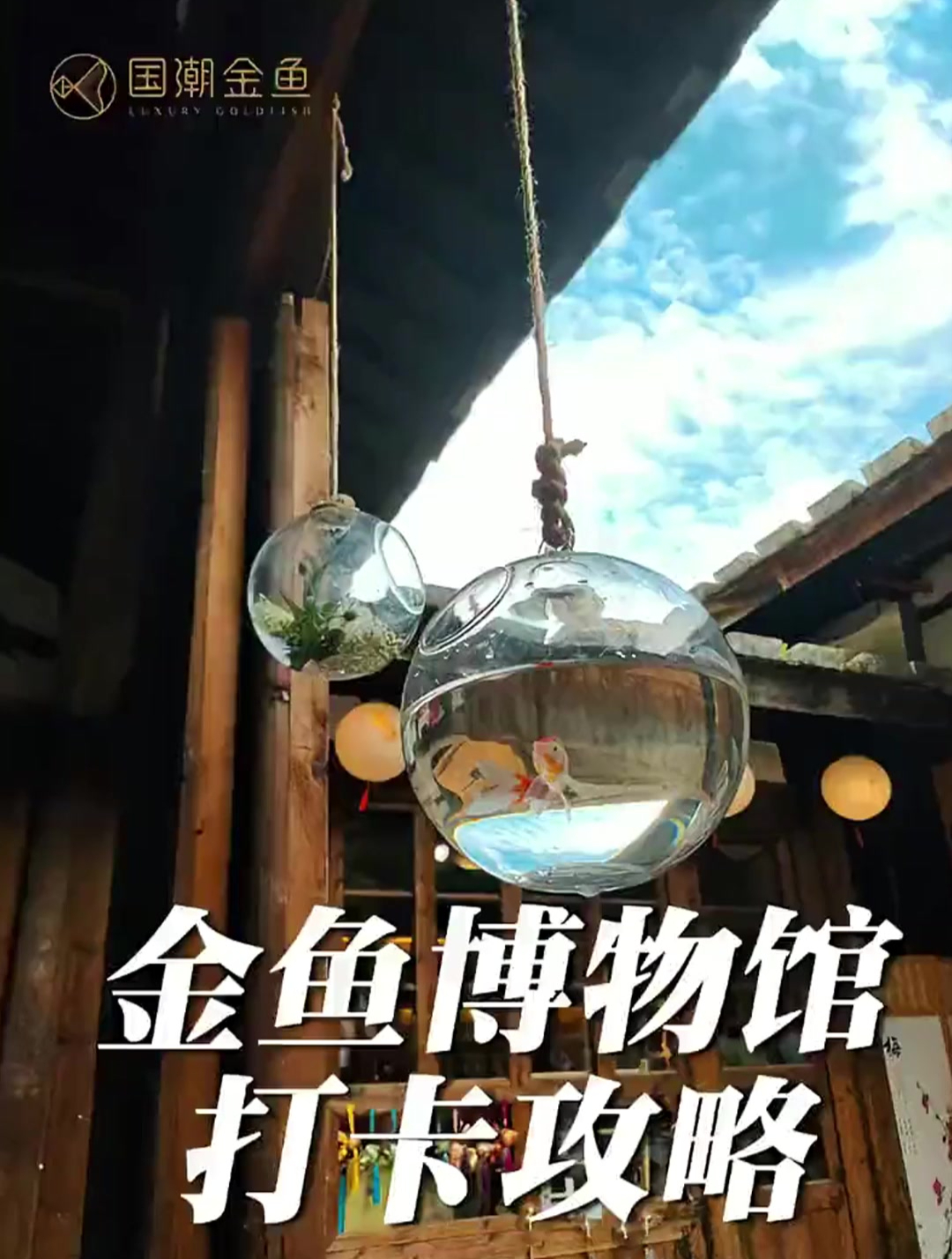 是谁说金鱼博物馆十分钟就逛完了 这里有一份打卡攻略请查收