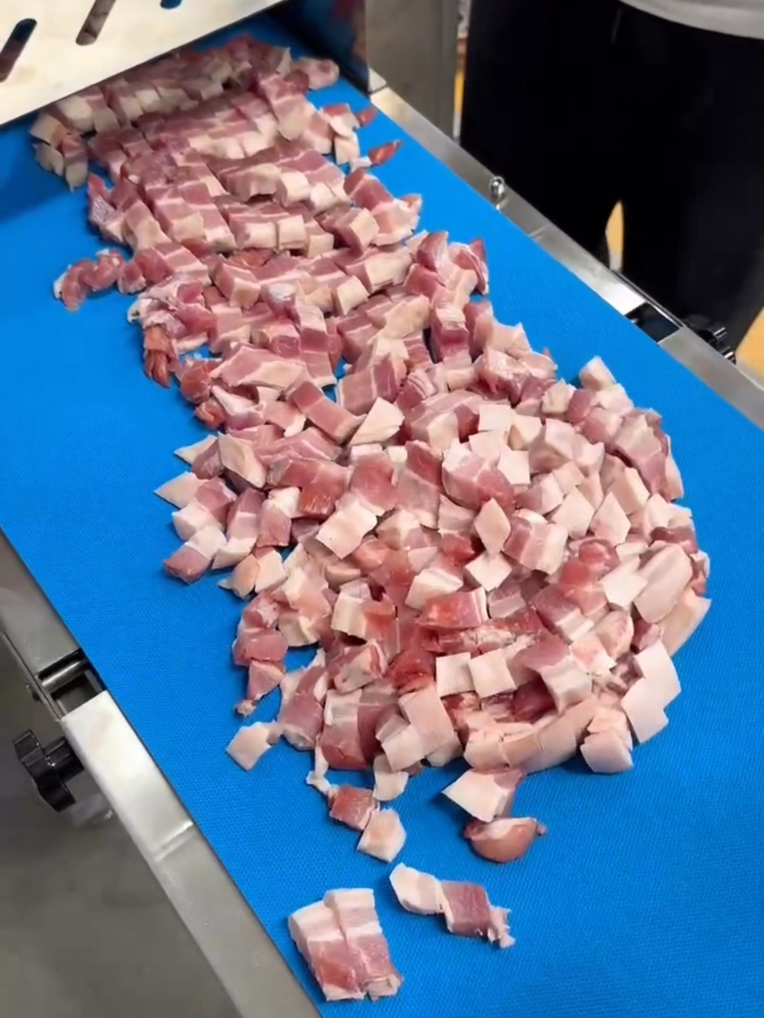 食堂用红烧肉切块机 肉类切块 羊肉串切块机