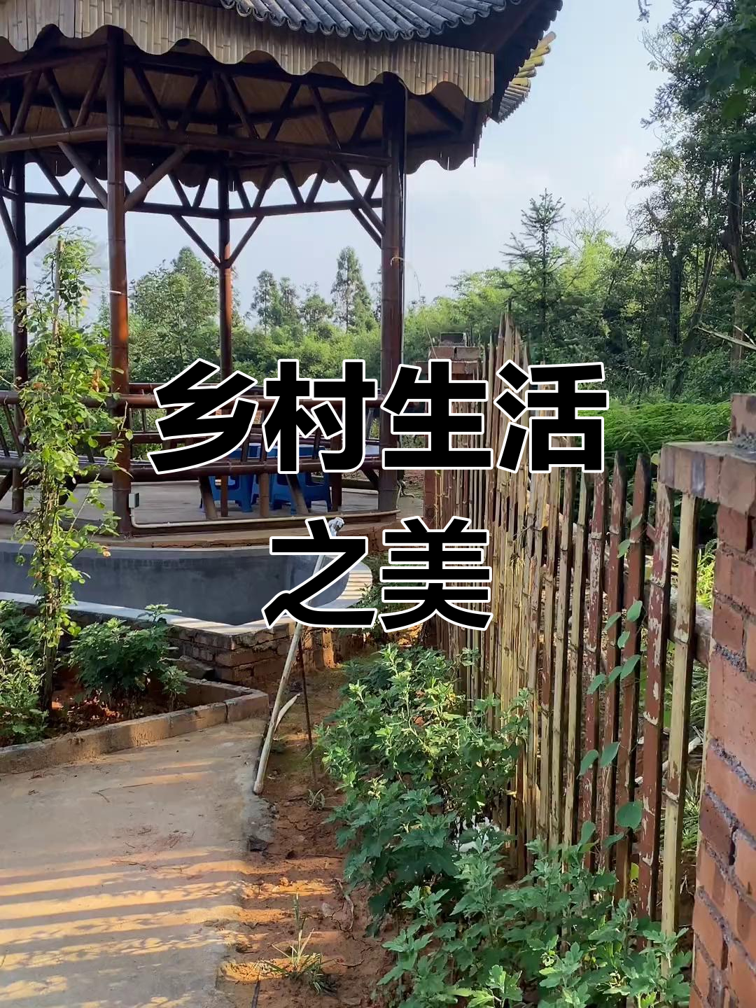墙角假山鱼池,流水潺潺的庭院美景