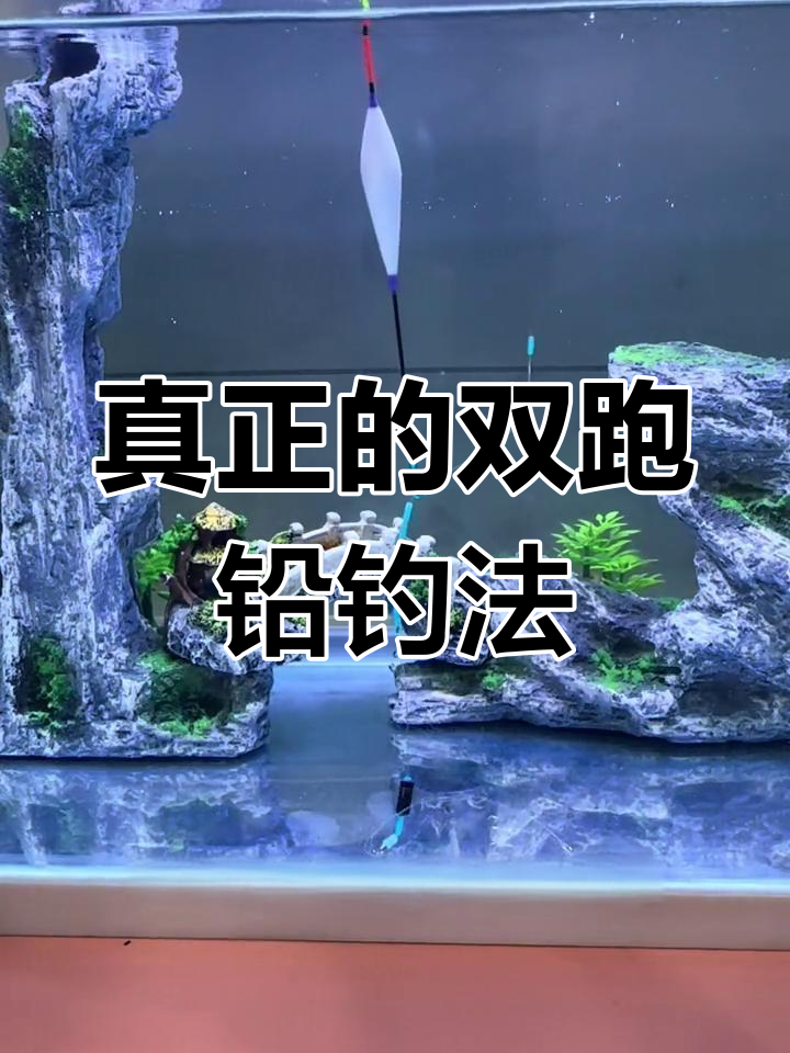 双跑铅钓法揭秘:如何避免错过鱼口,稳定钓鱼