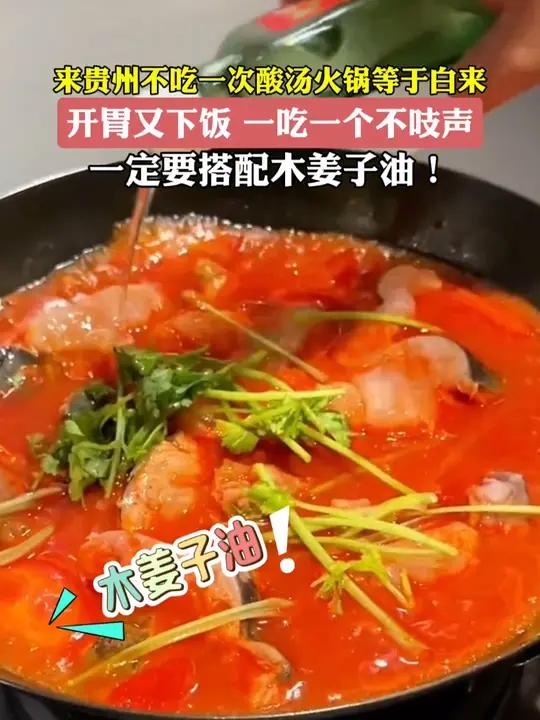 天!不吃一次贵州酸汤真的会遗憾 贵州人是掌管酸汤的神 跟着本地人吃贵阳美食 贵州酸汤鱼 享