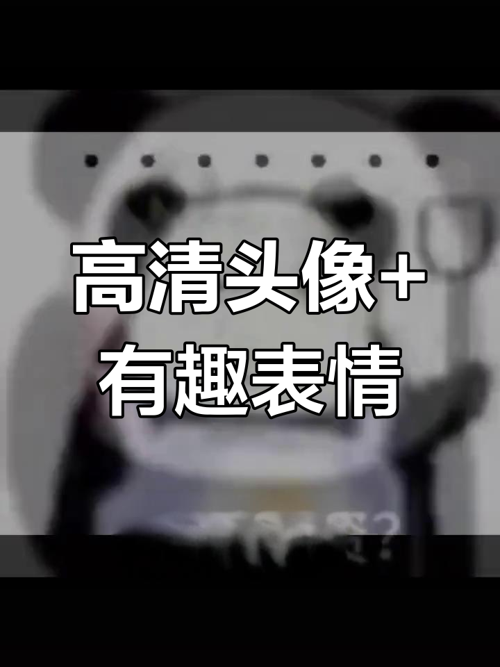 追求高清头像与生动表情包,龙图表情包来袭