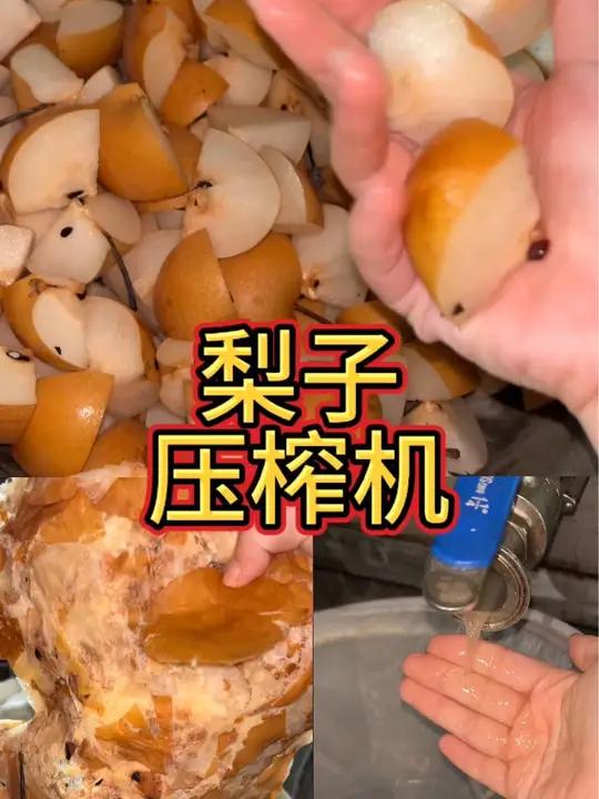 梨子榨汁机 梨膏压榨机 梨汁压榨设备 秋月梨榨汁机 酥梨雪花压榨取汁机 秋梨膏加工设备 鸭