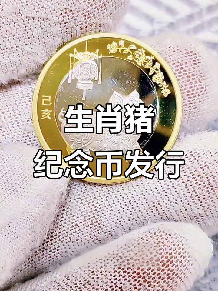 2019年生肖猪纪念币:双色铜合金材质,寓意吉祥