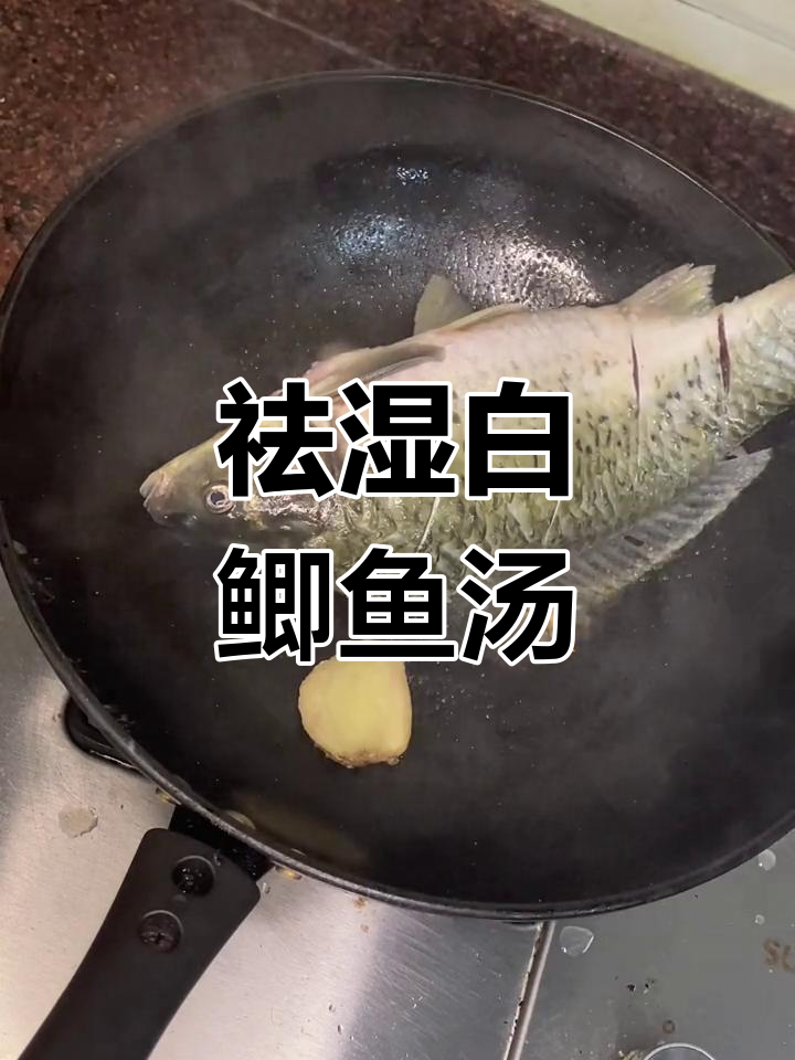 白鲫鱼祛湿汤的做法详解