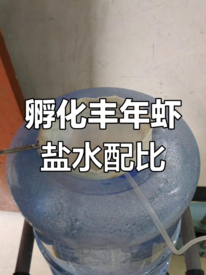 丰年虾孵化盐水比例解析