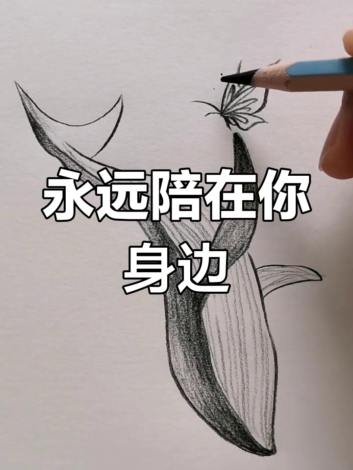 蝴蝶与鲸鱼的陪伴,梦想与你同行