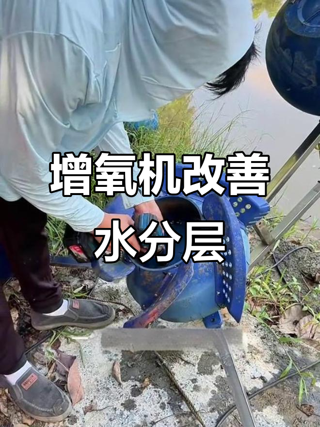 高温天气必备!增氧机解决水分层问题,鱼开口吃食更轻松