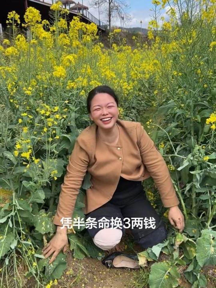 意外和惊喜不知道什么时候来，你家乡也有这种植物吗？油菜花