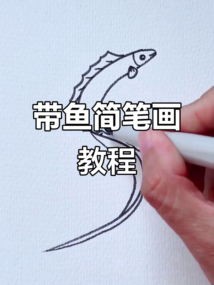 轻松学画带鱼,简单步骤教你画出可爱大鱼