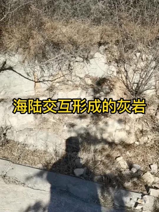 海陆交互形成的灰岩