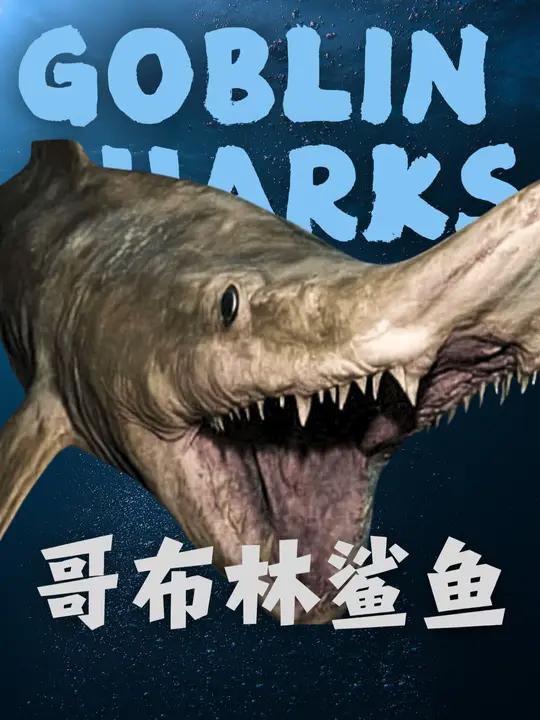 这是在地球上已经存在1.25亿年的神奇鲨鱼种类