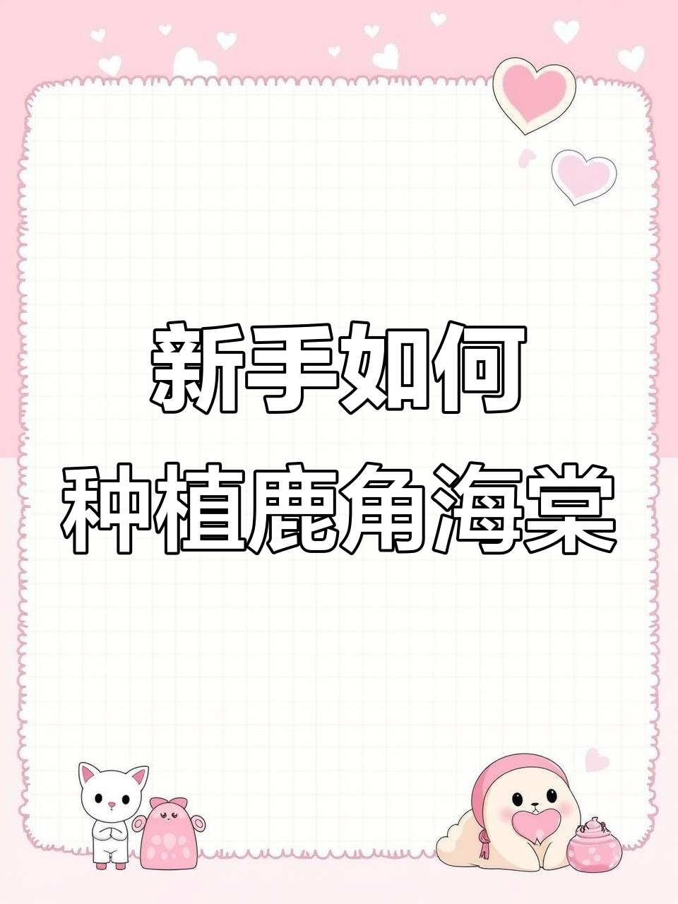 鹿角海棠新手栽种全攻略,轻松搞定多肉养护